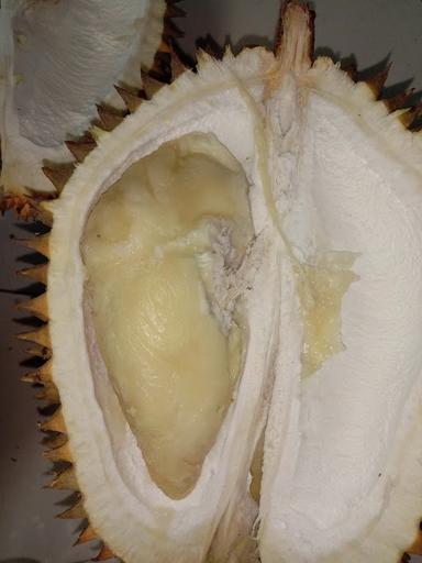 DURIAN NYAMLENG