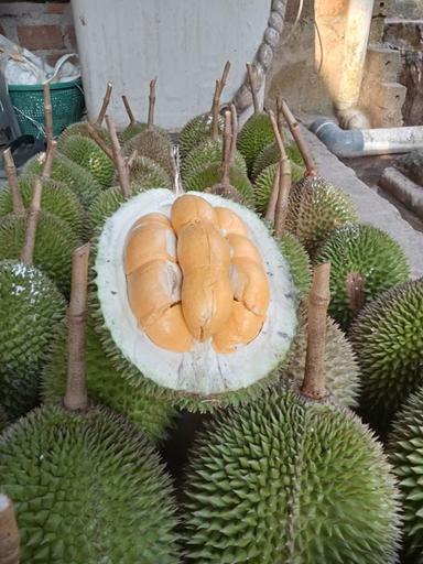 DUREN BAWOR BJG 1