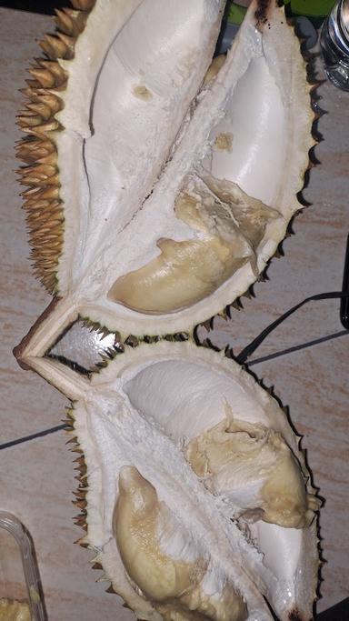 DUREN BAWOR BJG 1