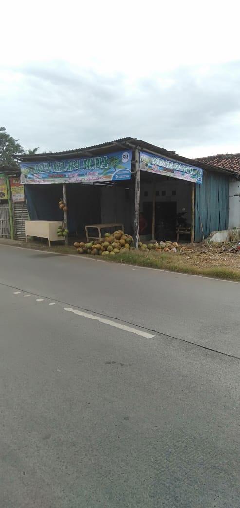 AGEN KELAPA HIJAU