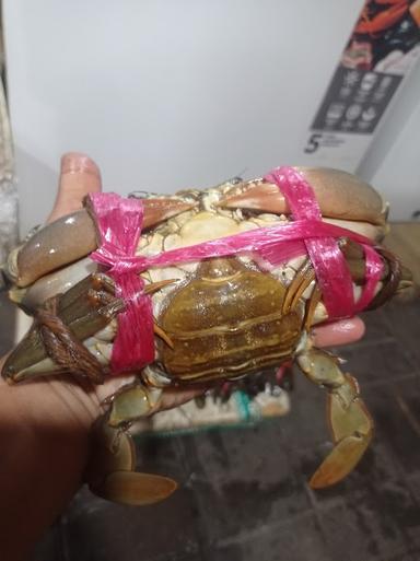 KEPITING TUMPAH BANG POETZ