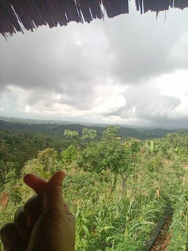 TEMPAT WISATA BUKIT DURIAN