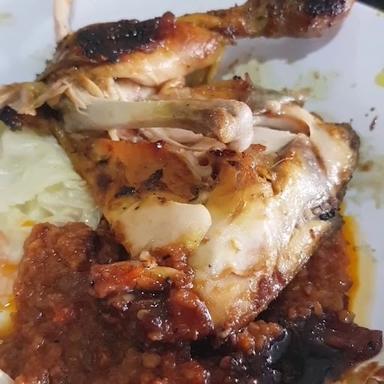 AYAM MUDA