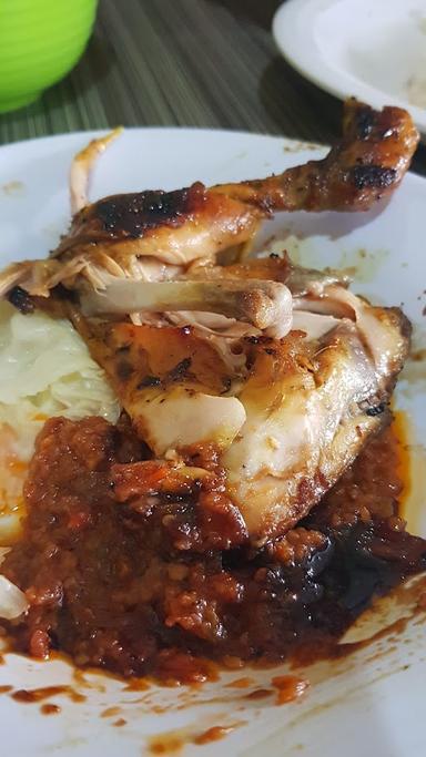 AYAM MUDA