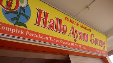 RUMAH MAKAN HALLO AYAM GORENG