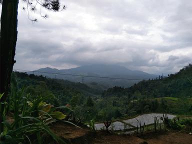 KEDAI KOPI HUTAN PINUS GUNUNG LUKUN