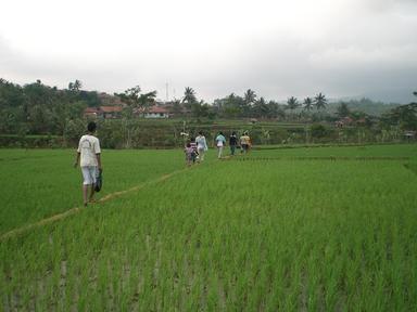 PABRIK TAHU IBU DAYOK