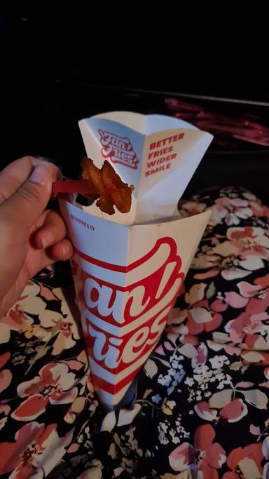 FAN FRIES