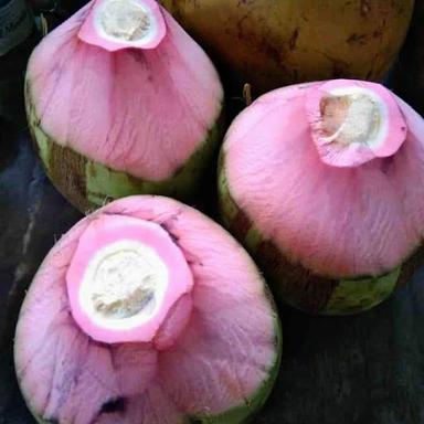 ES KELAPA KANG BEWOK