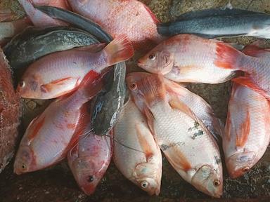 WARUNG MASAKAN PADANG KHAS IKAN ASIN BUNDA YATI