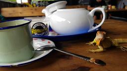 Photo's Warung Kopi Ngancani