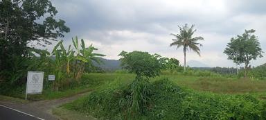 WARUNG JAWA SUMBER REJEKI