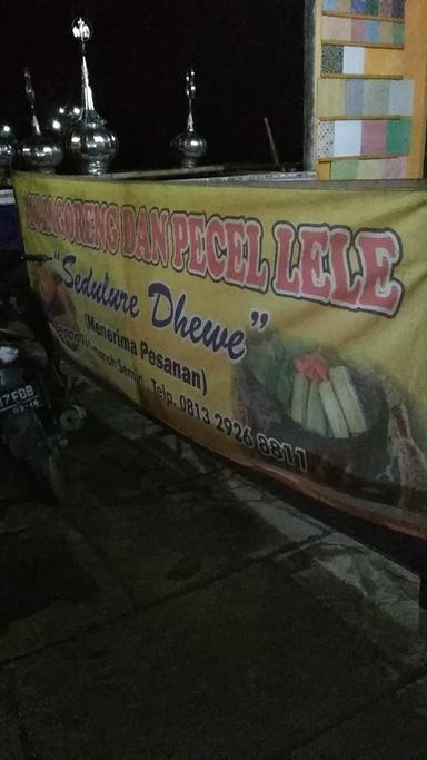 LESEHAN PECEL LELE SEDULUR DEWE/WARUNG MAKAN MBAK MURNI