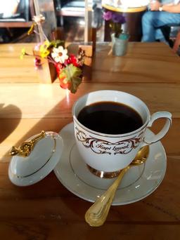 Photo's Kopi Luwak