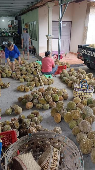 DURIAN BASTALA