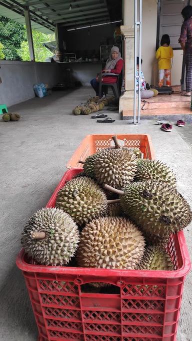 DURIAN BASTALA