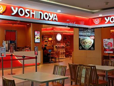 YOSHINOYA - MAL AMBASSADOR