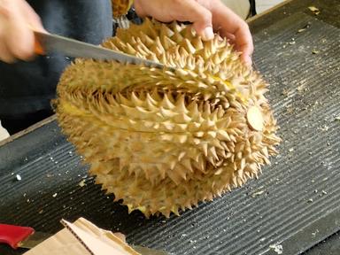 FRESH DURIAN NUSANTARA