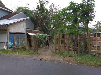 PEMANCINGAN PINGGIR KALI BEDOG