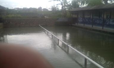 FISHING PLACE SAFIRA GOLD