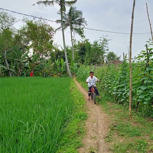 WARUNG SEBLAK DAN BATAGOR BU ELI