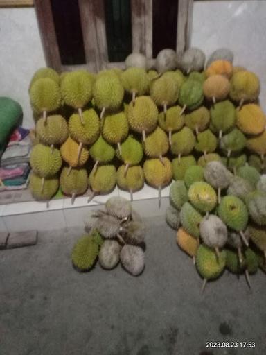 DURIAN MANTAP