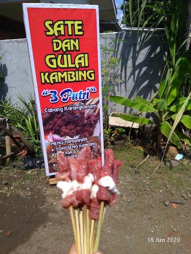 WARUNG SATE 3 PUTRI