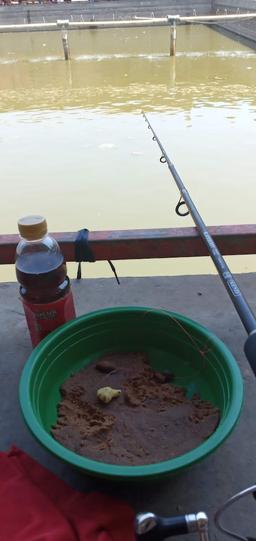 Photo's Rumah Makan & Pemancingan Meja Raja