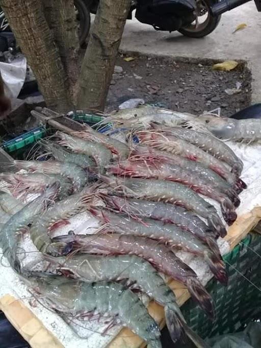 TUKANG IKAN BANG MAMAN