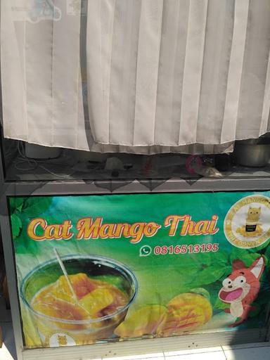 CAT MANGO THAI