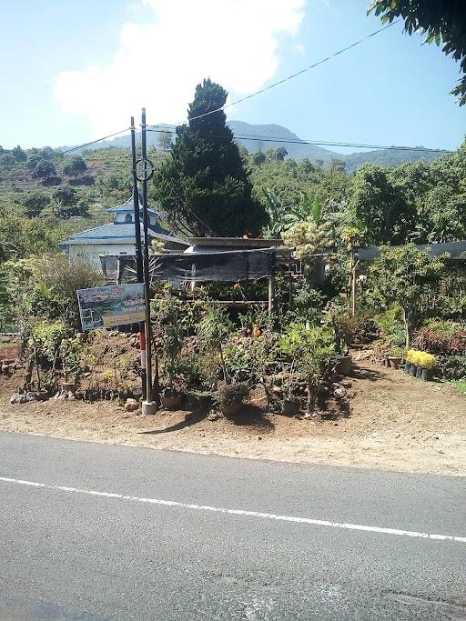 WARUNG KOPI KLENTING KUNING