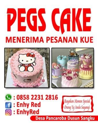 PEGS CAKE ENHY