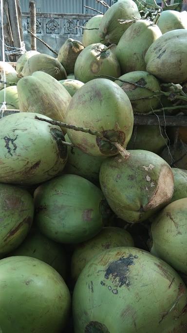 TEBU & KELAPA APUI