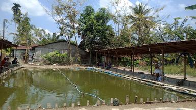 KOLAM PANCING RAMBE - IKAN MAS DAN LELE