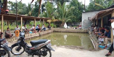 KOLAM PANCING RAMBE - IKAN MAS DAN LELE