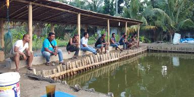 KOLAM PANCING RAMBE - IKAN MAS DAN LELE