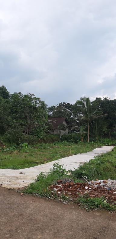 NASI UDUK MBAK TRI