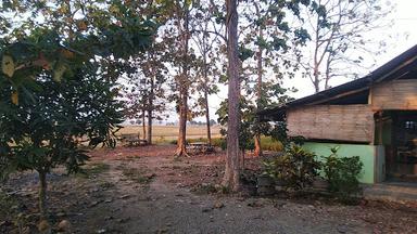 SAUNG DJATI