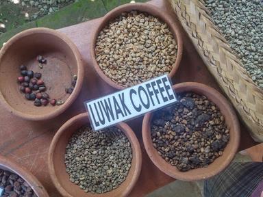 LUWAK COFFEE