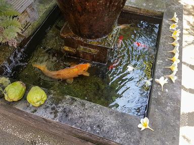 WARUNG LALAPAN JAWA TIMUR