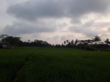 WARUNG MAKAN