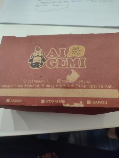 AIGEMI #5 BENHIL