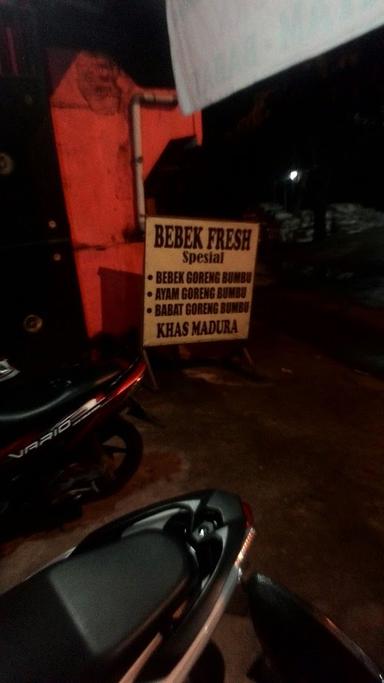 BEBEK FRESH KHAS MADURA