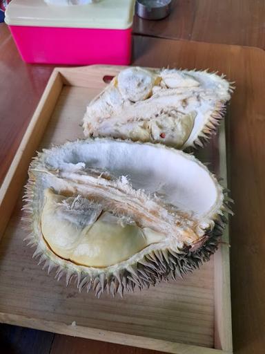 DUREN KENJI - MONTONG & MUSANG KING