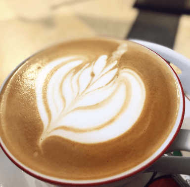 SYPHON COFFEE & CAFE