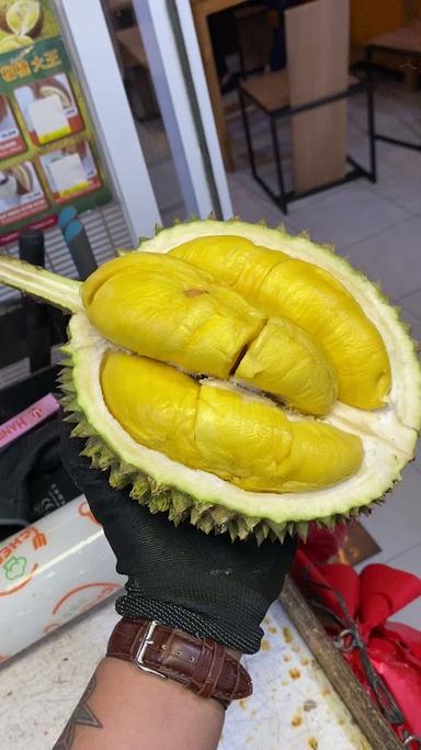 RAJA DURIAN SUNTER