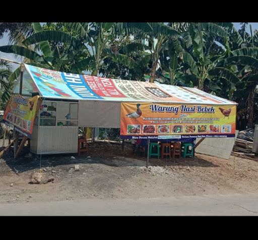 NASI BEBEK MBA SUSI