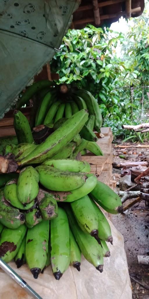 MUJEN BANANA FRUITS