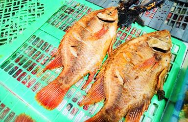 PONDOK AYAM & IKAN BAKAR PAK DHE