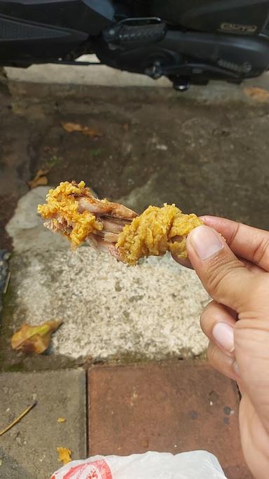 AYAM SABANA TEBET